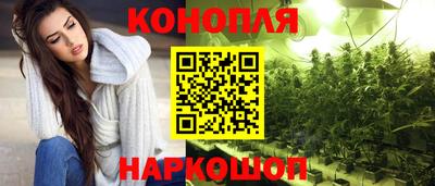 гидропоника Будённовск