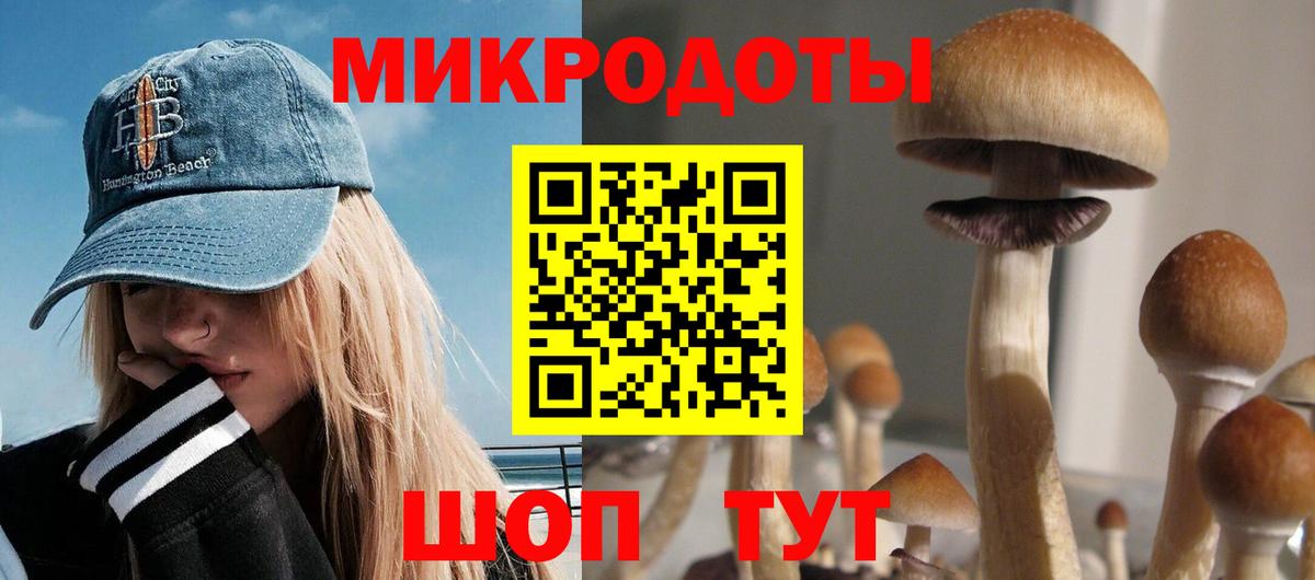 Псилоцибиновые грибы мицелий  Вход с VPN  Таганрог 